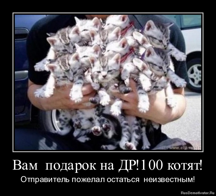 1307653756-vam-podarok-na-dr100-kotyat.jpg