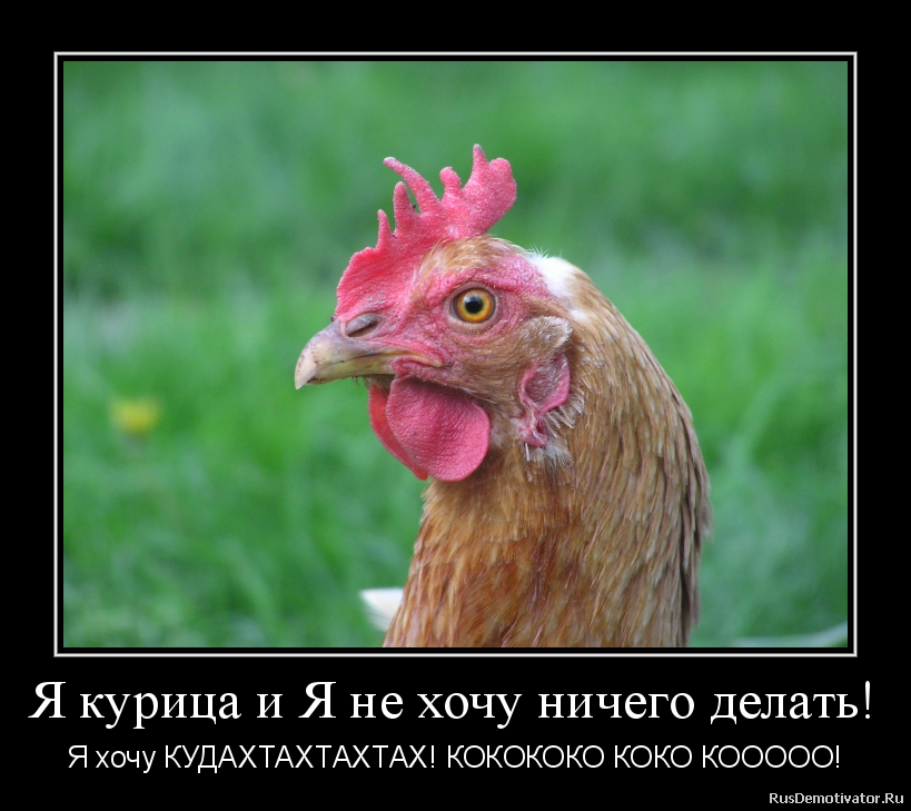 http://www.rusdemotivator.ru/uploads/10-24-2012/2012102418100764.png