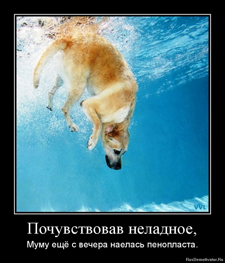 http://www.rusdemotivator.ru/uploads/12-27-11/1324996032-pochuvstvovav-neladnoe.jpg