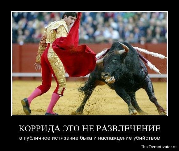 http://www.rusdemotivator.ru/uploads/posts/2009-12/1260736547_hqwqgkychsnk.jpg