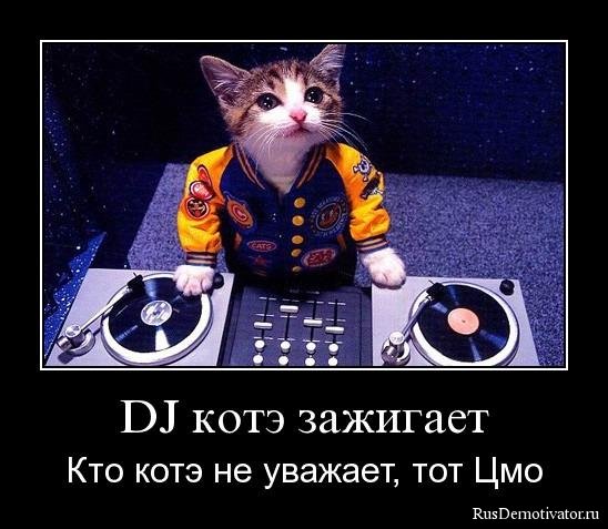 http://www.rusdemotivator.ru/uploads/posts/2009-12/1261171600_k40l5824wjkn.jpg