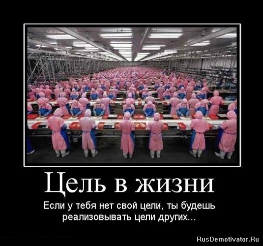 http://www.rusdemotivator.ru/uploads/posts/2010-03/1267979648_180119_tsel-v-zhizni.jpg