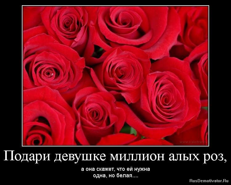http://www.rusdemotivator.ru/uploads/posts/2010-03/1268384039_1268209735-8787.jpg