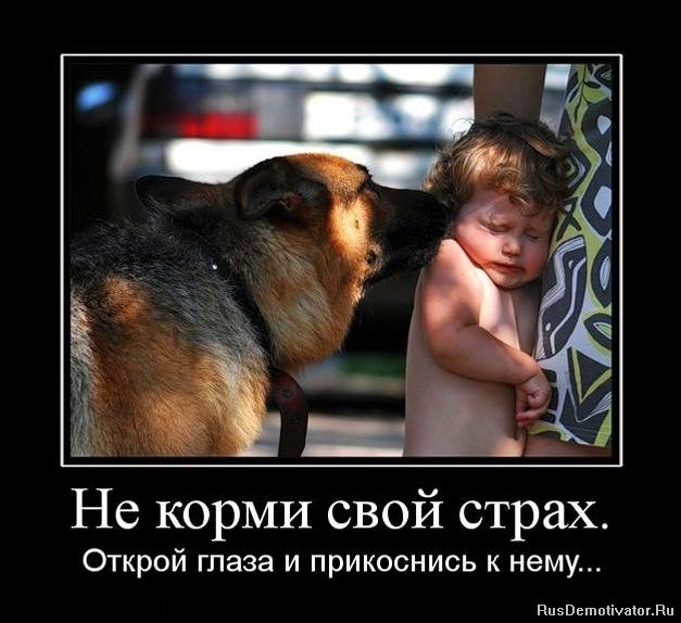 видео приколы про детей видео приколы про детей
