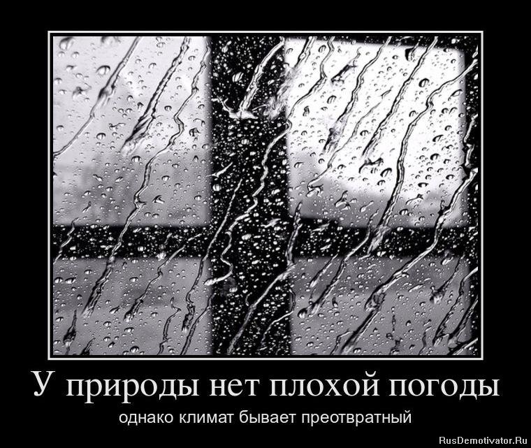 Опубликованное фото
