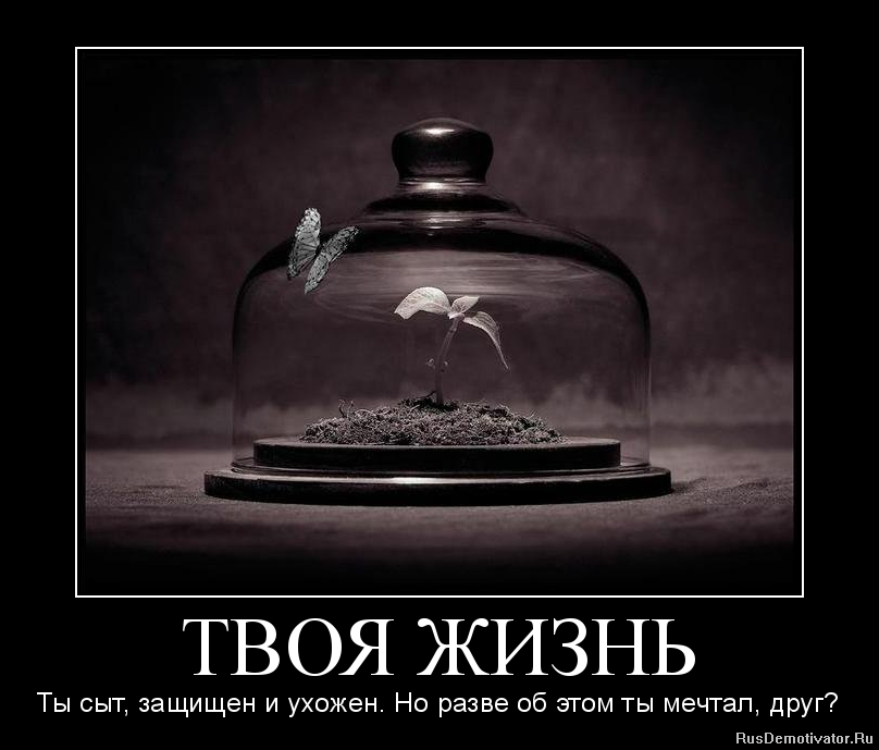 http://www.rusdemotivator.ru/uploads/posts/2012-07/1343127650_3940756.png