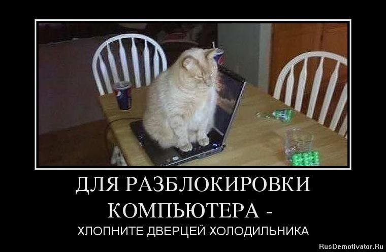 http://www.rusdemotivator.ru/uploads/posts/2012-11/1352972760_65784160_dlya-razblokirovki-kompyutera-.jpg
