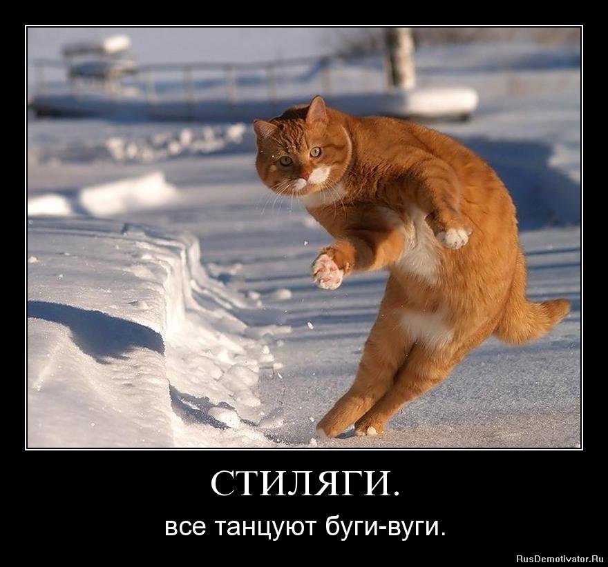 http://www.rusdemotivator.ru/uploads/posts/2010-08/1283179531_ndns3sm7xd3z.jpg